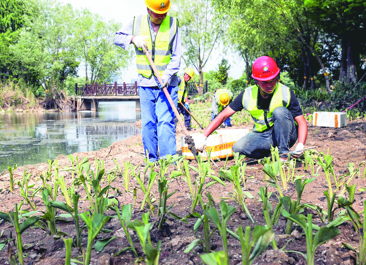 治理備用水源地 重塑南湖水生態